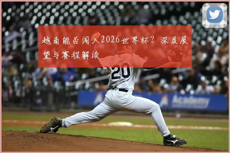 越南能否闯入2026世界杯？深度展望与赛程解读